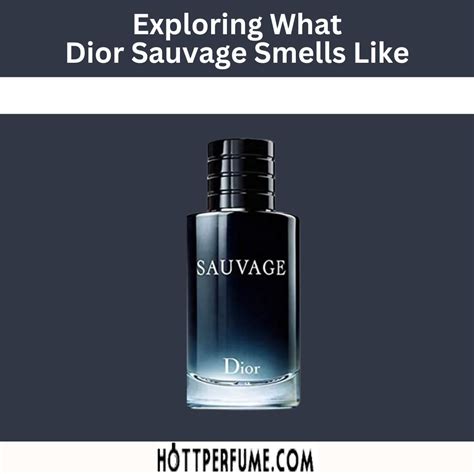 what smells similar to dior sauvage|colognes that smell like sauvage.